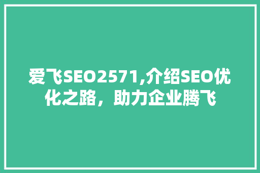 爱飞SEO2571,介绍SEO优化之路，助力企业腾飞