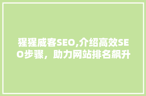 猩猩威客SEO,介绍高效SEO步骤，助力网站排名飙升 操作系统
