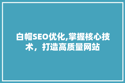 白帽SEO优化,掌握核心技术，打造高质量网站
