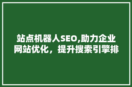 站点机器人SEO,助力企业网站优化，提升搜索引擎排名