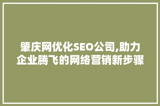 肇庆网优化SEO公司,助力企业腾飞的网络营销新步骤