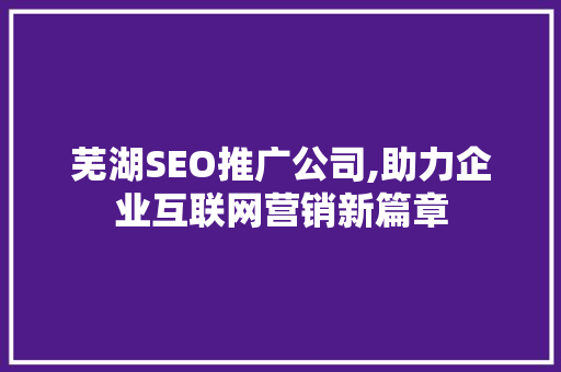 芜湖SEO推广公司,助力企业互联网营销新篇章