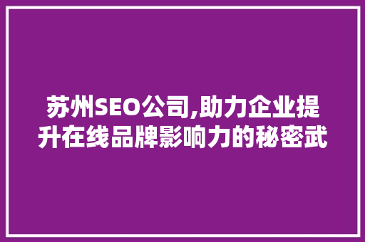 苏州SEO公司,助力企业提升在线品牌影响力的秘密武器