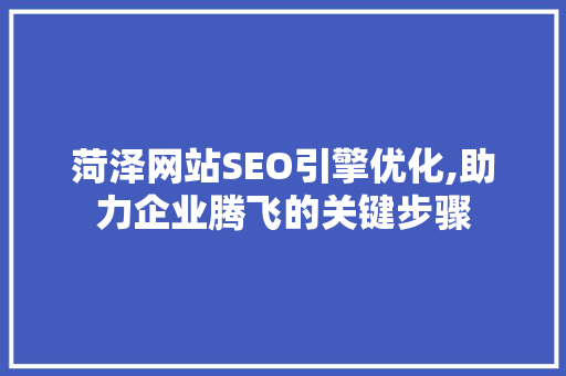 菏泽网站SEO引擎优化,助力企业腾飞的关键步骤