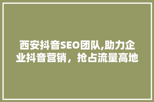 西安抖音SEO团队,助力企业抖音营销，抢占流量高地