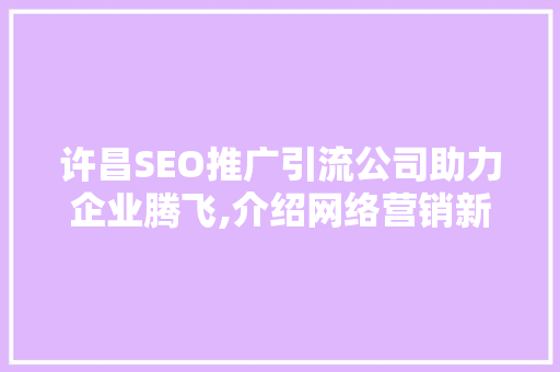 许昌SEO推广引流公司助力企业腾飞,介绍网络营销新步骤