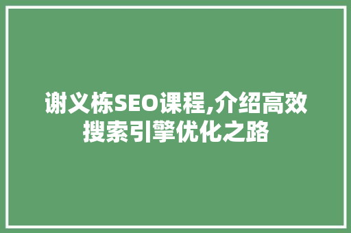 谢义栋SEO课程,介绍高效搜索引擎优化之路