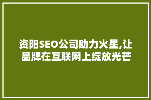 资阳SEO公司助力火星,让品牌在互联网上绽放光芒