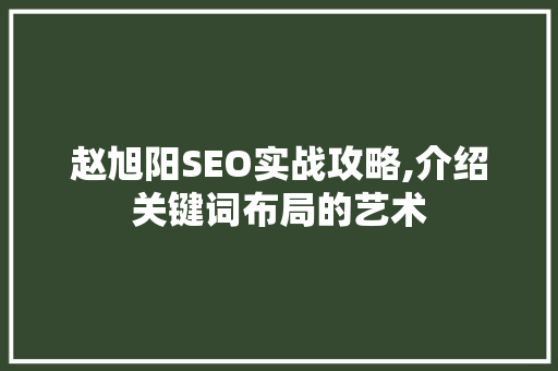 赵旭阳SEO实战攻略,介绍关键词布局的艺术