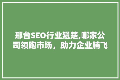 邢台SEO行业翘楚,哪家公司领跑市场，助力企业腾飞