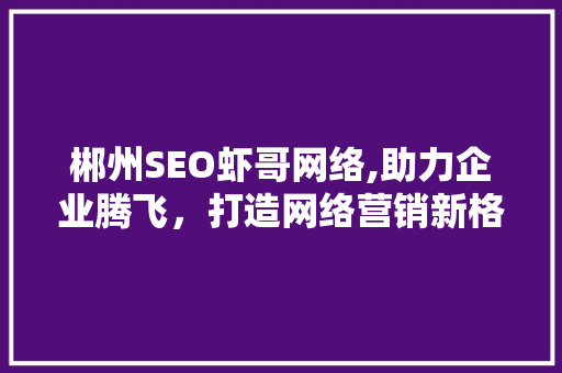 郴州SEO虾哥网络,助力企业腾飞，打造网络营销新格局