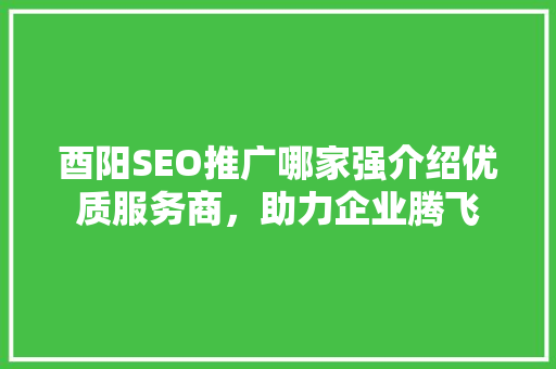 酉阳SEO推广哪家强介绍优质服务商，助力企业腾飞