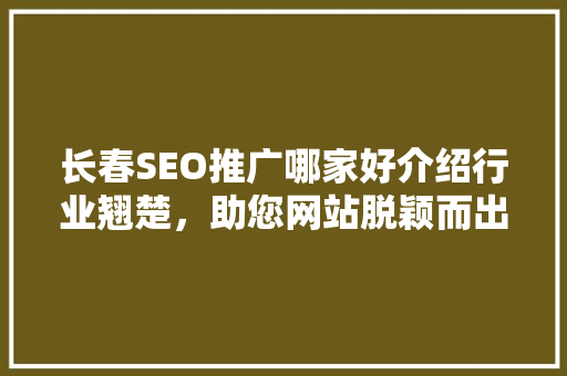 长春SEO推广哪家好介绍行业翘楚，助您网站脱颖而出