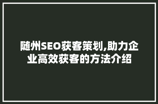 随州SEO获客策划,助力企业高效获客的方法介绍