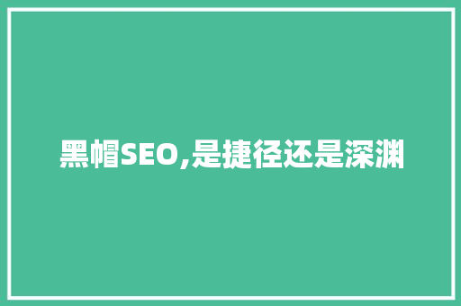 黑帽SEO,是捷径还是深渊