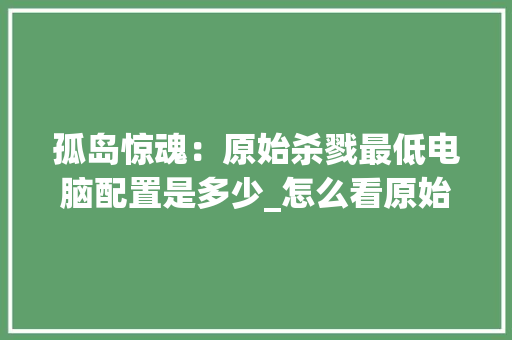 孤岛惊魂：原始杀戮最低电脑配置是多少_怎么看原始电脑配置信息