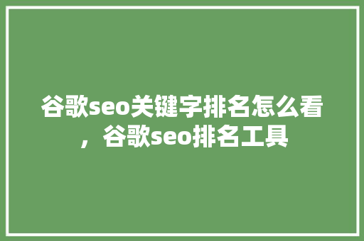 谷歌seo关键字排名怎么看，谷歌seo排名工具 电脑配置