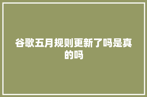 谷歌五月规则更新了吗是真的吗