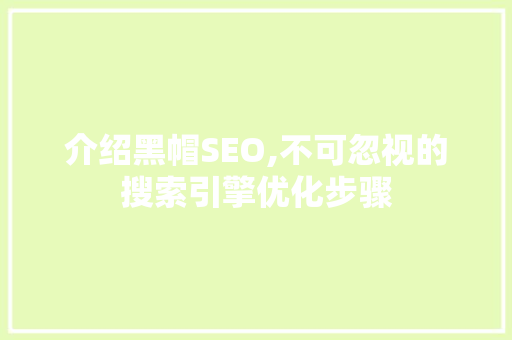 介绍黑帽SEO,不可忽视的搜索引擎优化步骤