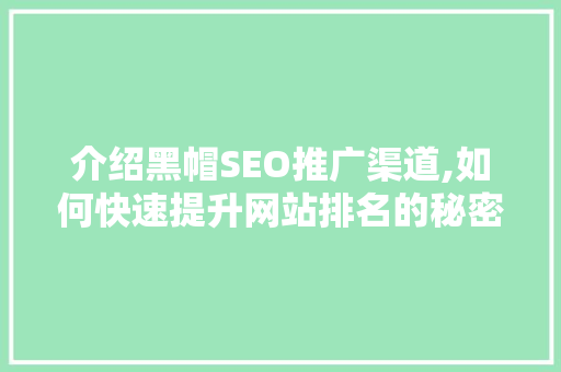 介绍黑帽SEO推广渠道,如何快速提升网站排名的秘密武器
