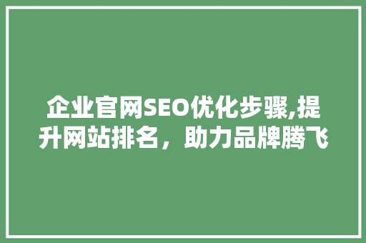 企业官网SEO优化步骤,提升网站排名，助力品牌腾飞