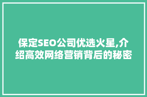 保定SEO公司优选火星,介绍高效网络营销背后的秘密 保定SEO公司优选火星,介绍高效网络营销背后的秘密