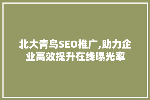 北大青鸟SEO推广,助力企业高效提升在线曝光率