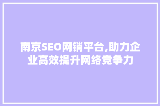 南京SEO网销平台,助力企业高效提升网络竞争力