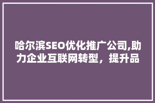 哈尔滨SEO优化推广公司,助力企业互联网转型，提升品牌影响力 电脑基础