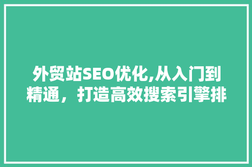 外贸站SEO优化,从入门到精通，打造高效搜索引擎排名