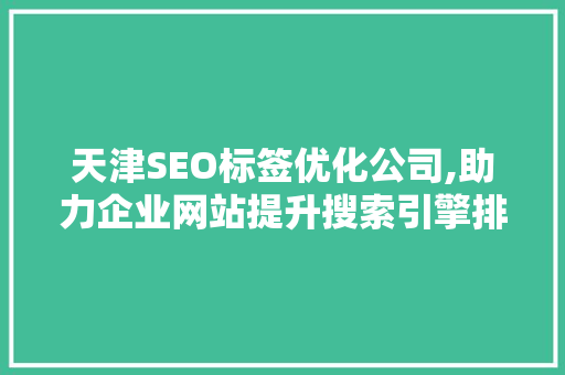 天津SEO标签优化公司,助力企业网站提升搜索引擎排名，抢占互联网市场先机