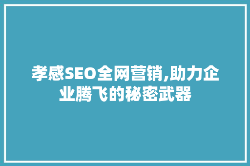 孝感SEO全网营销,助力企业腾飞的秘密武器 电脑基础