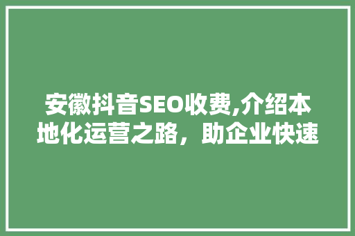 安徽抖音SEO收费,介绍本地化运营之路，助企业快速崛起 编程语言