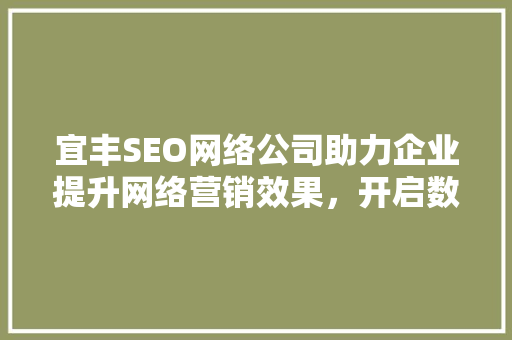 宜丰SEO网络公司助力企业提升网络营销效果，开启数字化时代新篇章