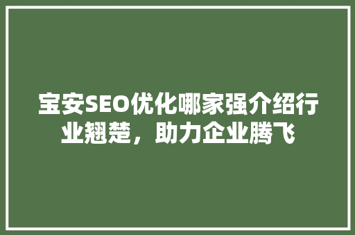 宝安SEO优化哪家强介绍行业翘楚，助力企业腾飞