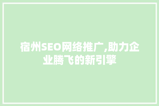 宿州SEO网络推广,助力企业腾飞的新引擎 电脑基础