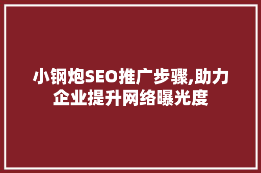 小钢炮SEO推广步骤,助力企业提升网络曝光度