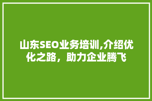 山东SEO业务培训,介绍优化之路，助力企业腾飞