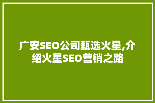 广安SEO公司甄选火星,介绍火星SEO营销之路
