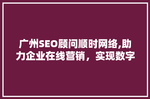 广州SEO顾问顺时网络,助力企业在线营销，实现数字化转型