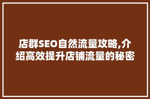店群SEO自然流量攻略,介绍高效提升店铺流量的秘密武器