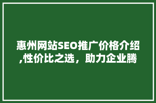 惠州网站SEO推广价格介绍,性价比之选，助力企业腾飞 网络技术