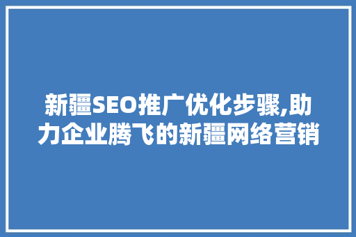 新疆SEO推广优化步骤,助力企业腾飞的新疆网络营销之路