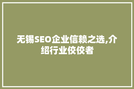 无锡SEO企业信赖之选,介绍行业佼佼者 无锡SEO企业信赖之选,介绍行业佼佼者