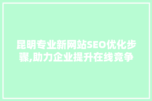 昆明专业新网站SEO优化步骤,助力企业提升在线竞争力