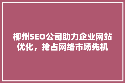 柳州SEO公司助力企业网站优化，抢占网络市场先机