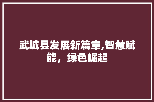 武城县发展新篇章,智慧赋能，绿色崛起