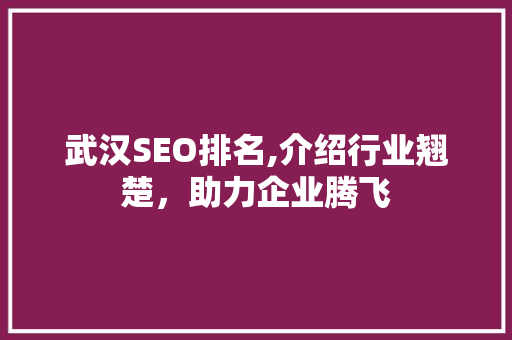 武汉SEO排名,介绍行业翘楚，助力企业腾飞