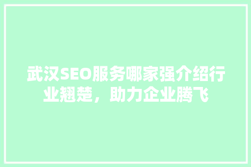 武汉SEO服务哪家强介绍行业翘楚，助力企业腾飞