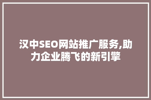 汉中SEO网站推广服务,助力企业腾飞的新引擎